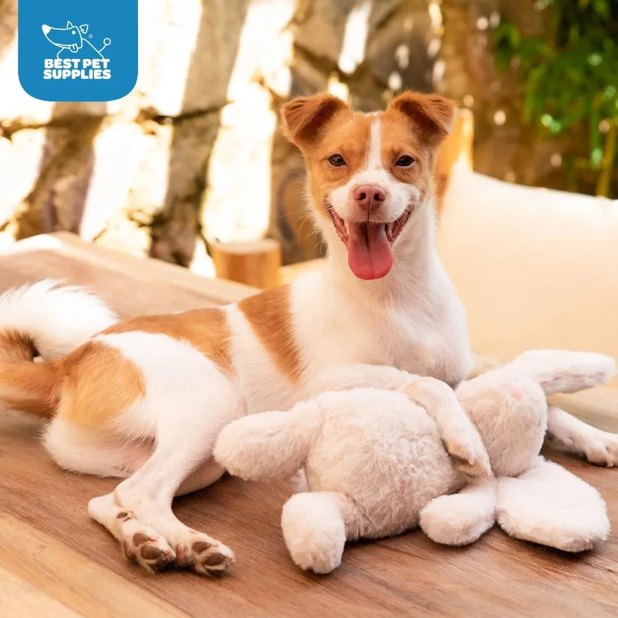 Interactive Bunny Buddy Dog Toy with Crinkle and Squeaky Features for Small and Medium Breed Puppies or Dogs Cute Plush Interac
