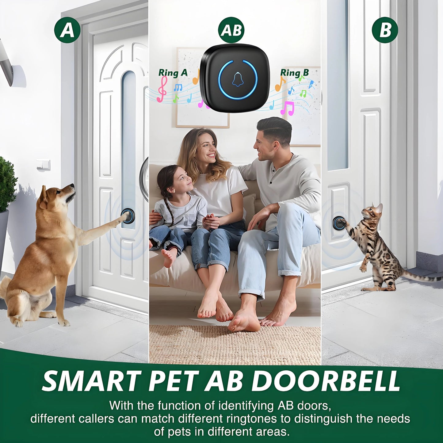 Wireless Dog Doorbell for Potty Training | 1000ft Range & IP65 Weatherproof | Gentle Nose Tap Buttons + Customizable Alerts