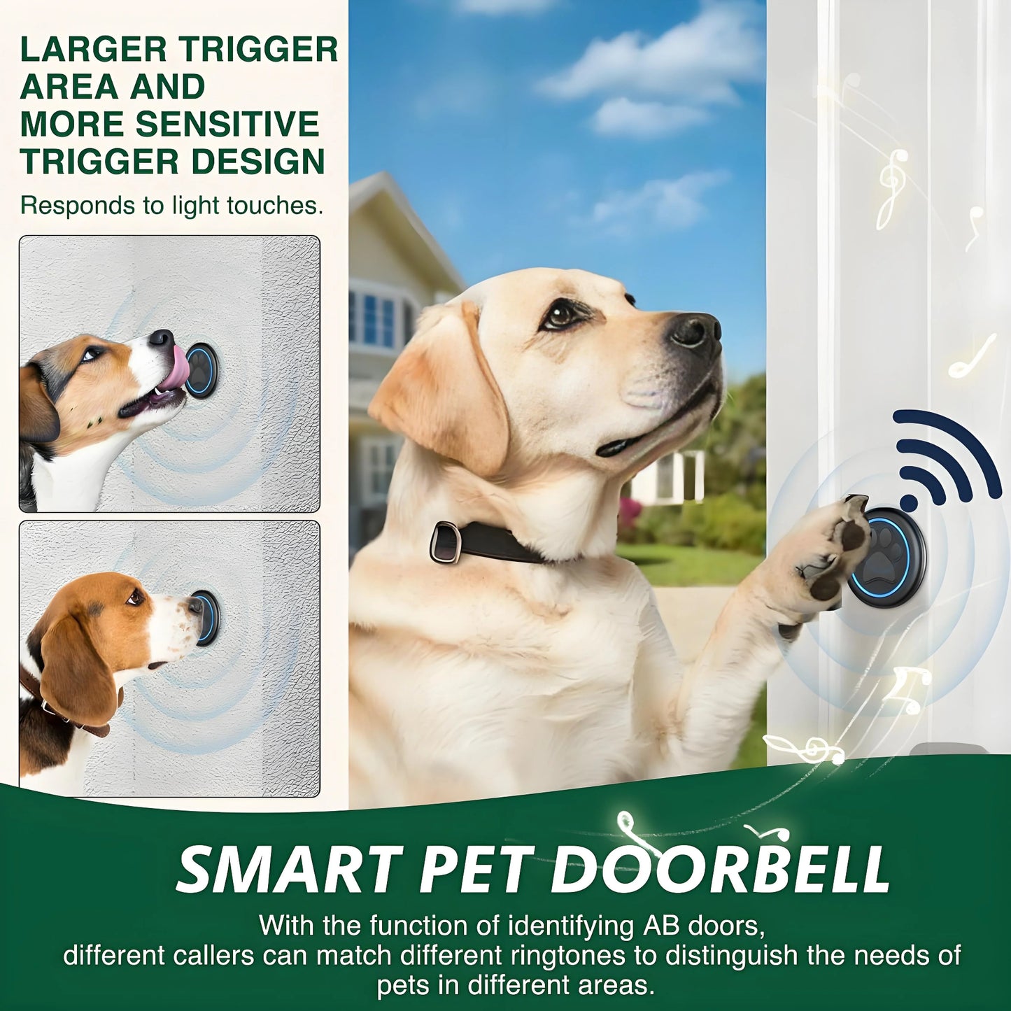 Wireless Dog Doorbell for Potty Training | 1000ft Range & IP65 Weatherproof | Gentle Nose Tap Buttons + Customizable Alerts
