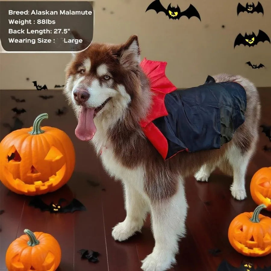 Halloween Costume for Large Breed Dogs Adjustable XL XXL Big Dog Vampire Costume Suitable for Golden Retriever German Shepherd