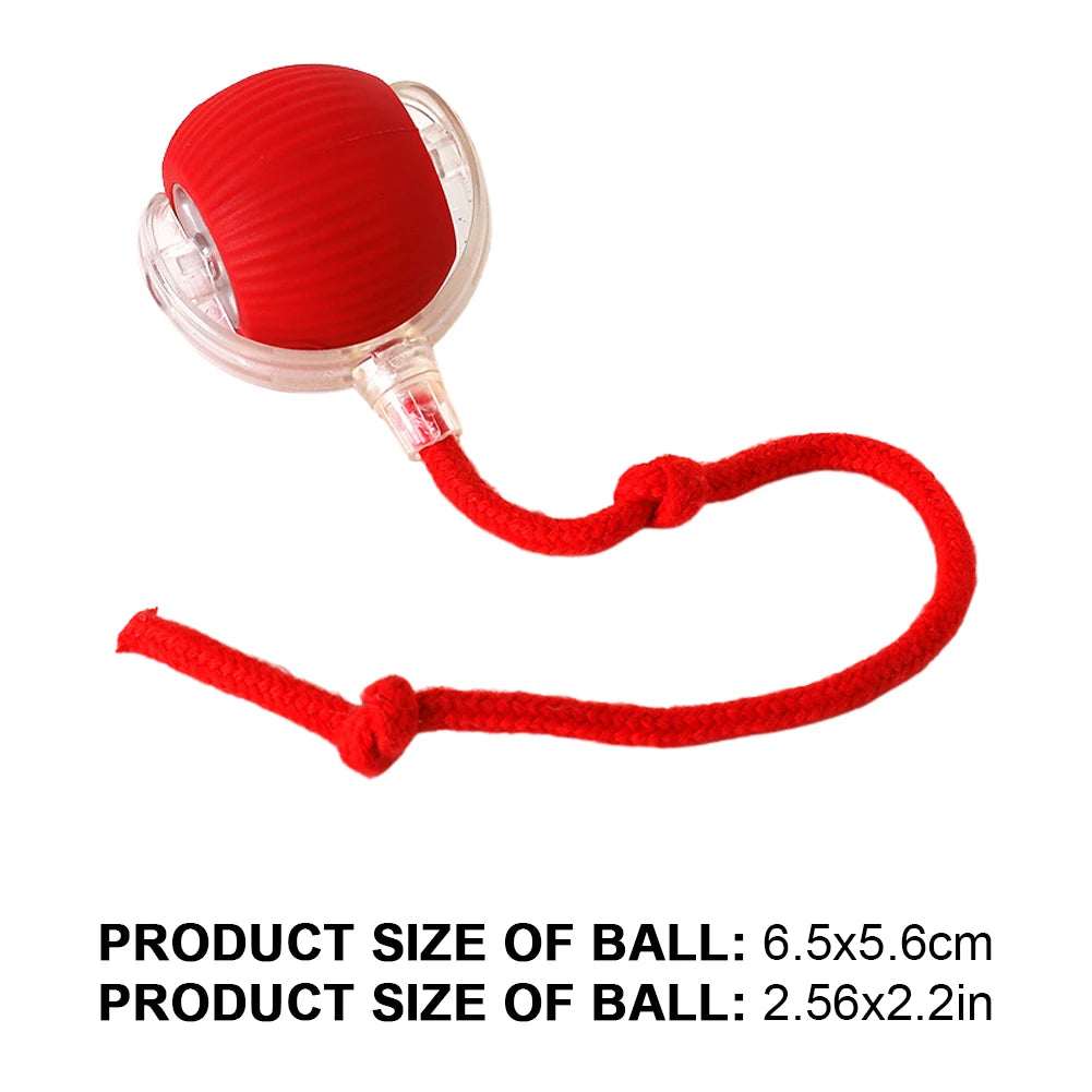 Caterpillar Teasing Cat Toy Motion Activated Kitten Toy Rechargeable Automatic Interactive Cat Toy with Tail for Indoor Cat