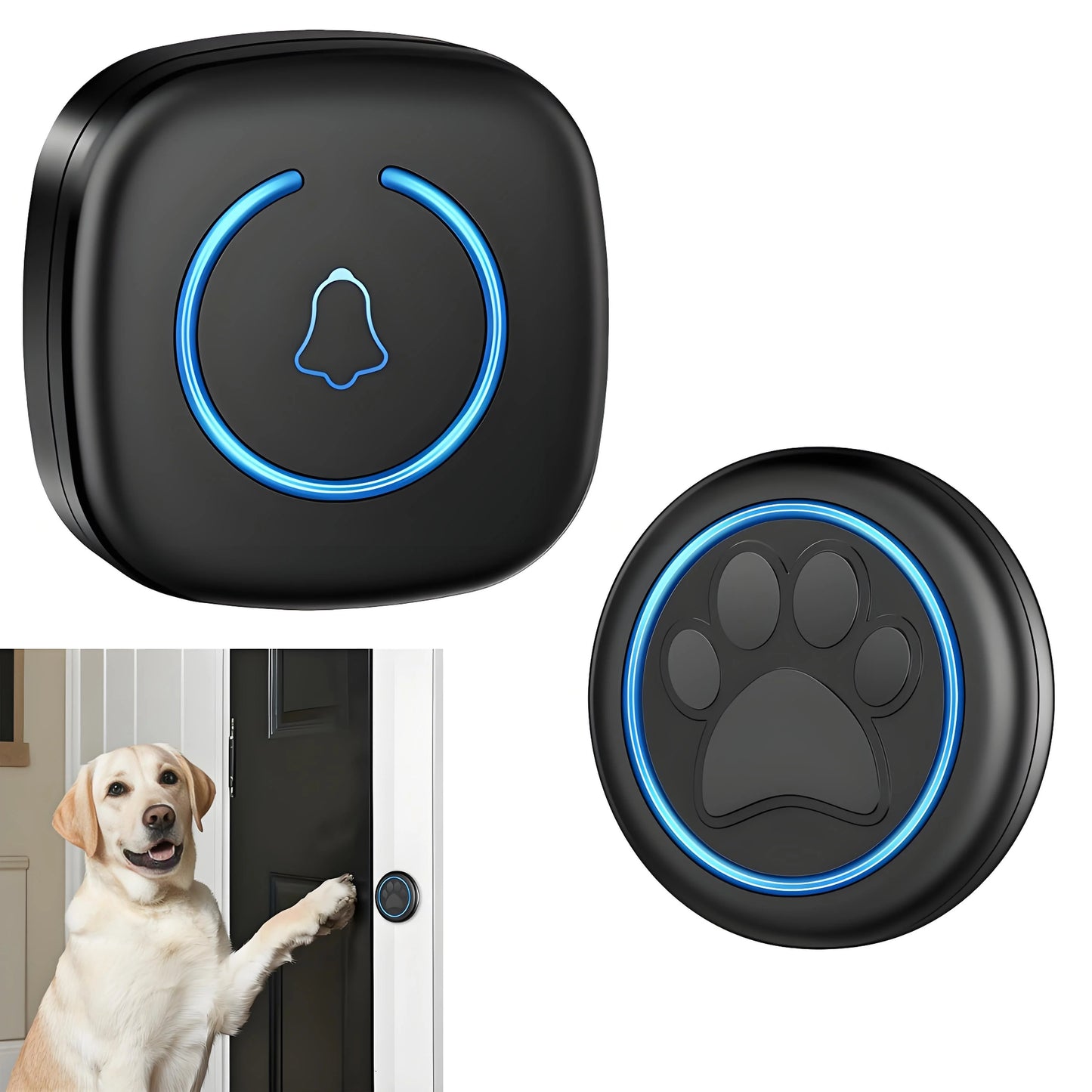 Wireless Dog Doorbell for Potty Training | 1000ft Range & IP65 Weatherproof | Gentle Nose Tap Buttons + Customizable Alerts