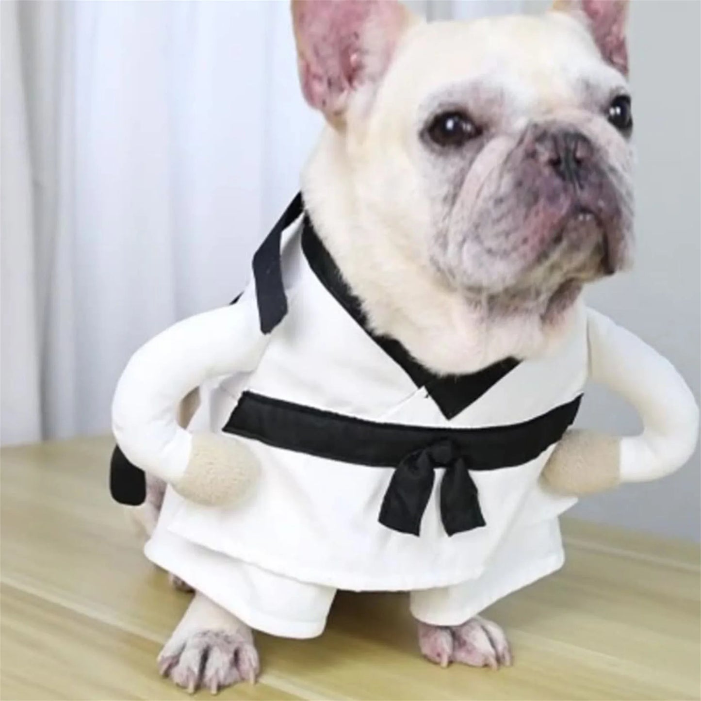 Funny Halloween Costume for Pets Soft and Comfortable Costume for Dogs and Cats Perfect for Indoor and Outdoor Activities