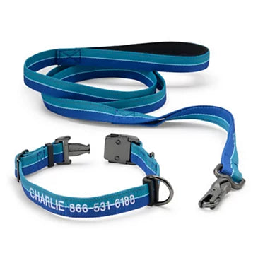 Collars and Leashes