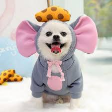 Pet Costumes