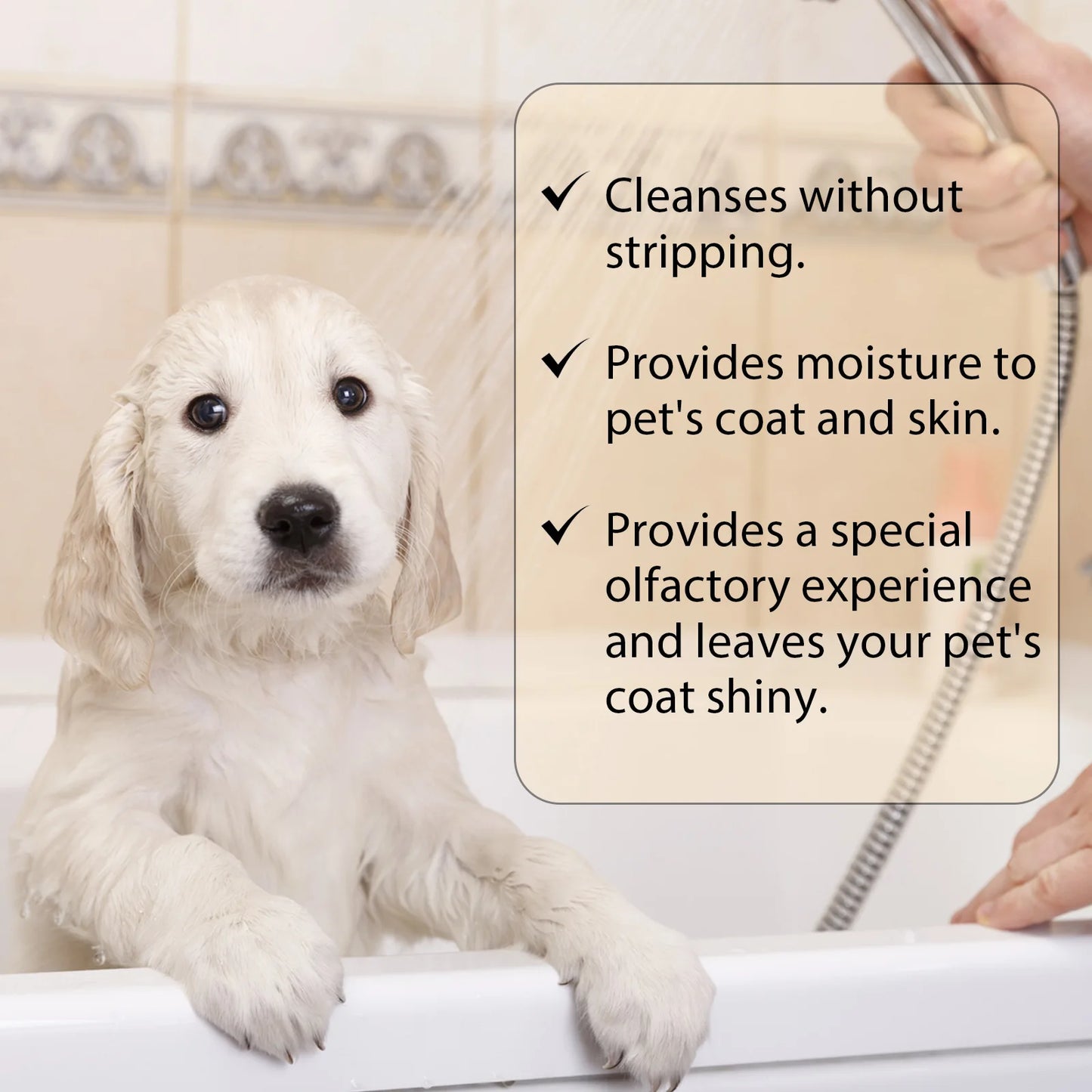 Yegbong Pet Hair Cleaning Shampoo for Cat And Dog Remove Stains Mite Removal Reduce Itching Deodorant Smoothing Pet Hair Shampoo