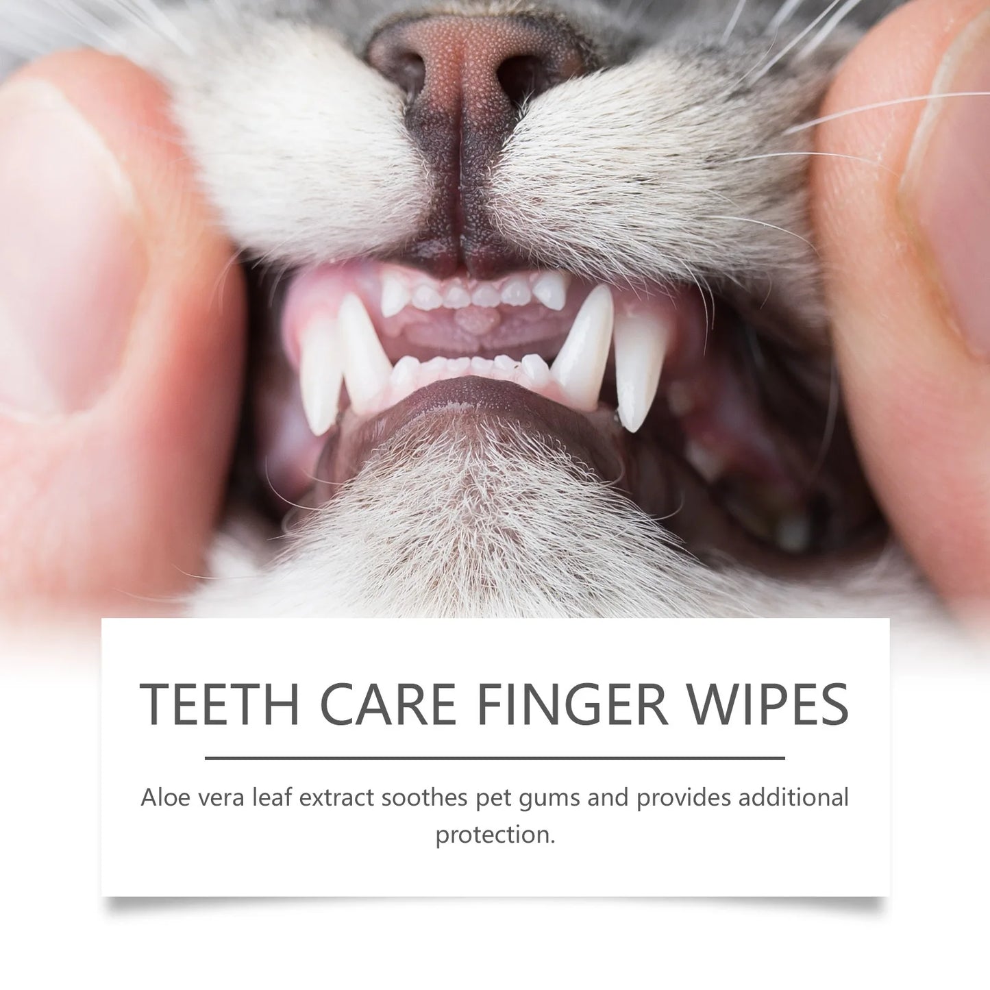 Yegbong Pet Cleaning Finger Cover Wipes Teeth Ear Cleaning Dogs Cats Oral Care Stains Remove Bad Breath Tartar Dental Care Wipes
