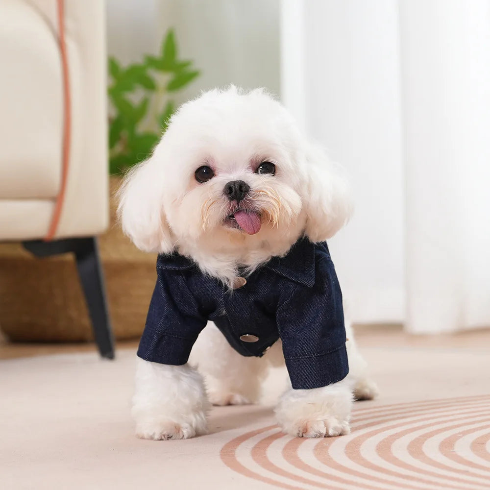 Tanpopo Spring Summer Costume Cats Clothes Stylish Simple Dog Denim Shirt Jacket for Small Medium Sized Pets Cosplay Accessories