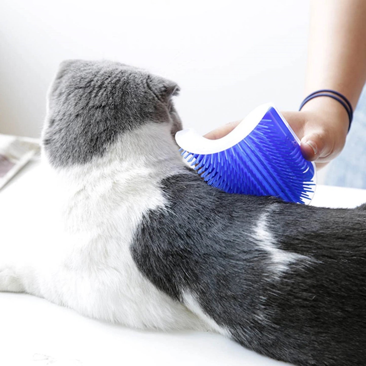 1 Piece for Fox and Cat Self-Cleaning Comb, Corner Massage Comb, Pet Self-Cleaning Massager and Comb, Cat and Dog Corner Scraper - Can Be Installed on Corner and Plane, Suitable for Cats with Large and Thick Hair, Washable Sc