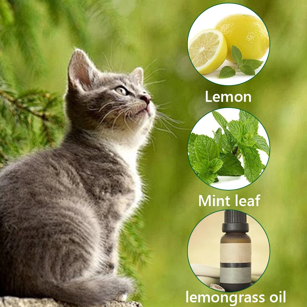 12Pcs Cat Repellent Natural Peppermint Oil Cat Deterrent To Keep Feral Cats Stray Dogs Out of Yard
