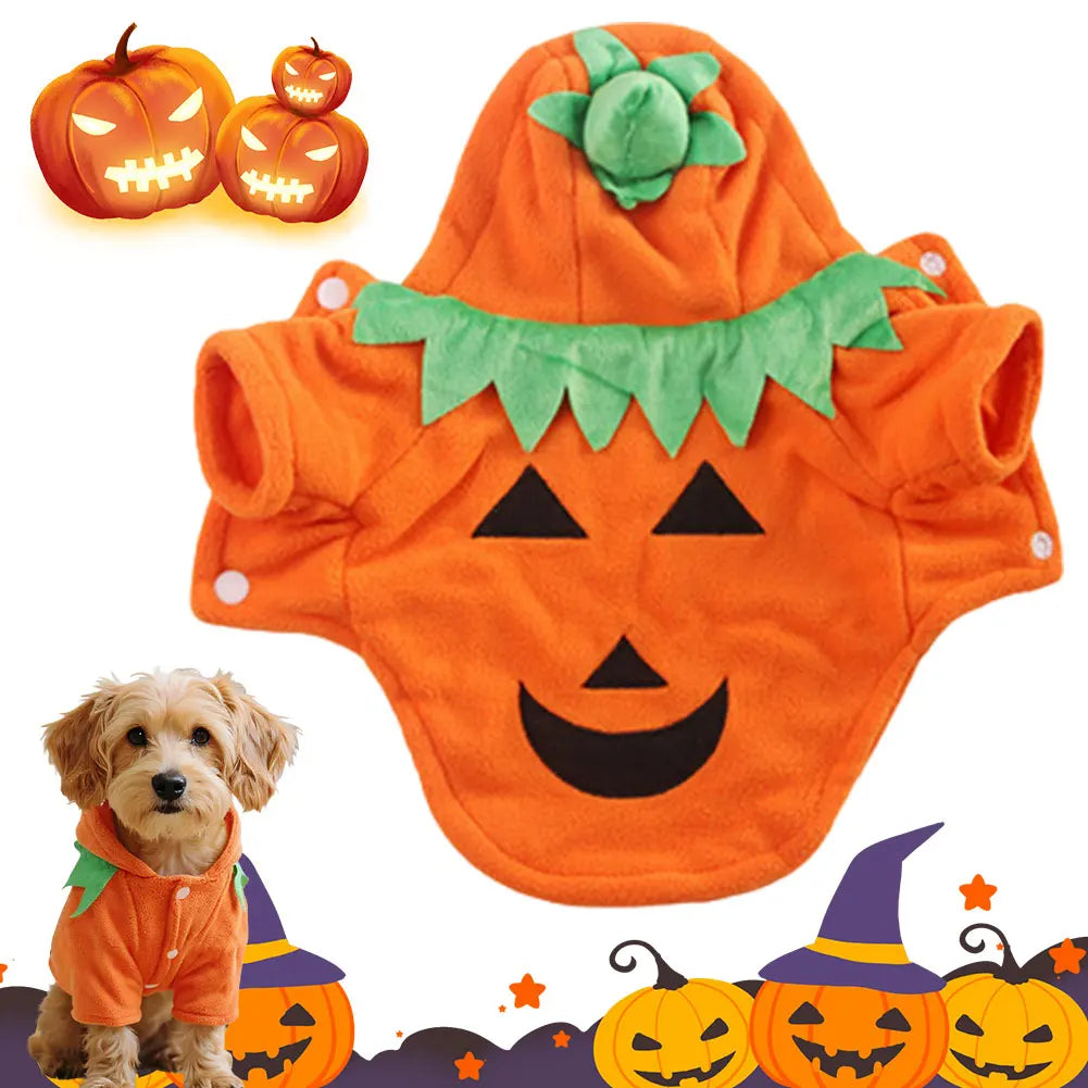 Halloween Cute Warm Pumpkin Dog Costume Pumpkin Costume Pet Cosplay Costume for Pet Dog Cat