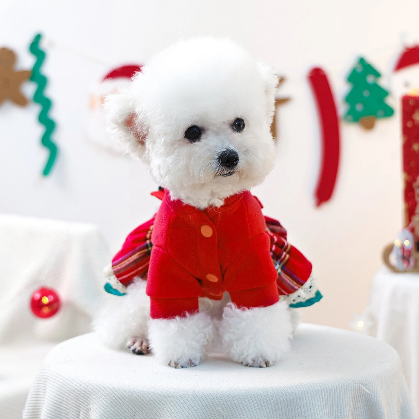 Christmas Dog Costume with Santa Hat and Jingle Bell Collar Festive Pet Holiday Outfit for Small Dogs and Cats
