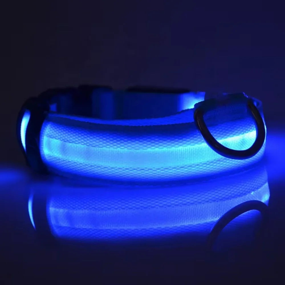 Factory Wholesale Light  Dog Collar Manufacturers  Nylon Led Dog Collar Leash Training collar for a dog Small dog collar Pet id