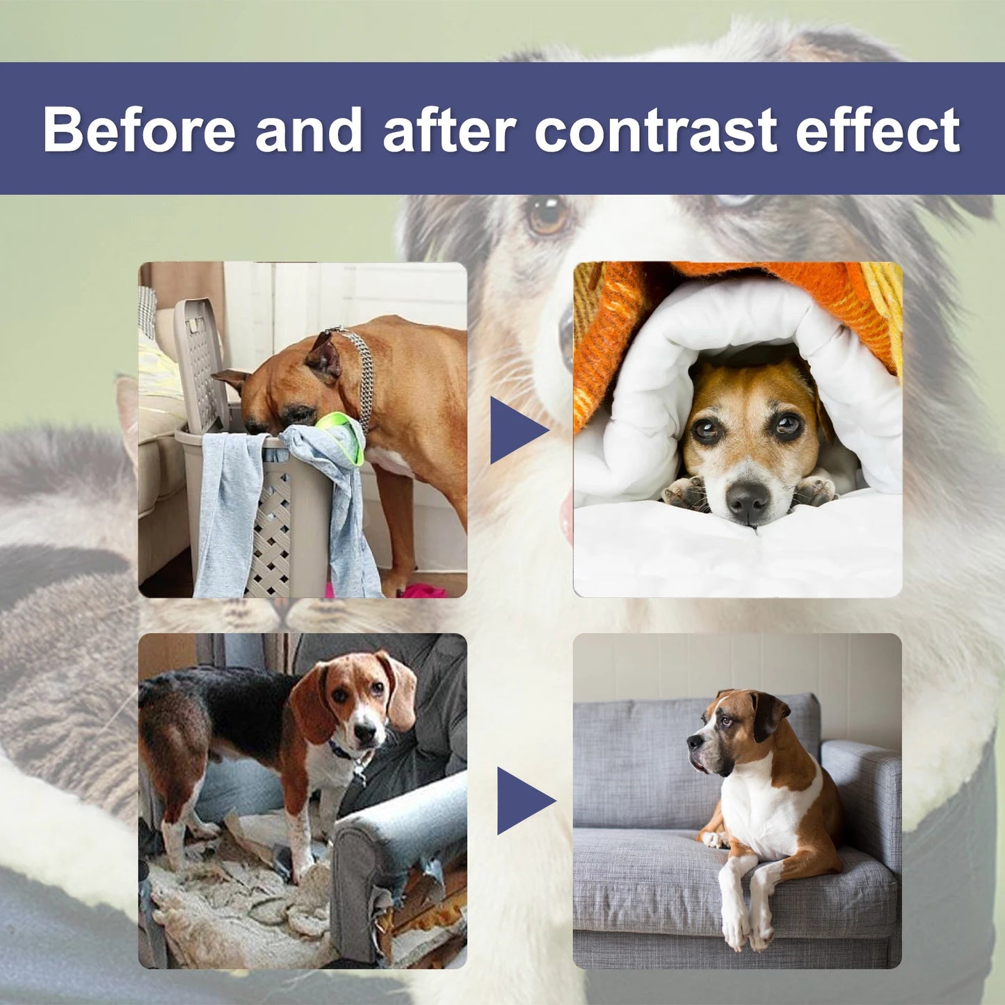 50ml Dog Bitterness Spray Anti Chewing Furniture Scratching Prevention Discourage Clawing Natural Formula Pet Train Stop Gnawing