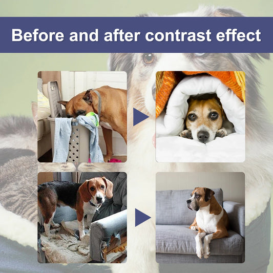 50ml Dog Bitterness Spray Anti Chewing Furniture Scratching Prevention Discourage Clawing Natural Formula Pet Train Stop Gnawing