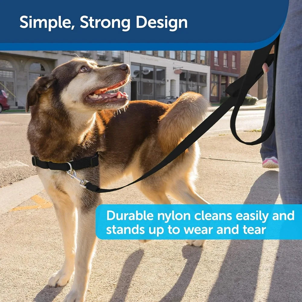 Nylon Dog Leash – Strong, Durable, Traditional Style Leash with Easy to Use Bolt Snap for Small, Medium and Large Dogs – 3/4" x