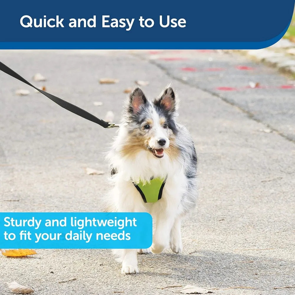 Nylon Dog Leash – Strong, Durable, Traditional Style Leash with Easy to Use Bolt Snap for Small, Medium and Large Dogs – 3/4" x