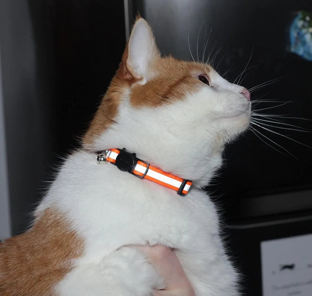 6-Pack Reflective Cat Collars with Bell, Safe Breakaway Nylon, Mixed Colors, Ideal for Cats, Includes Charms.