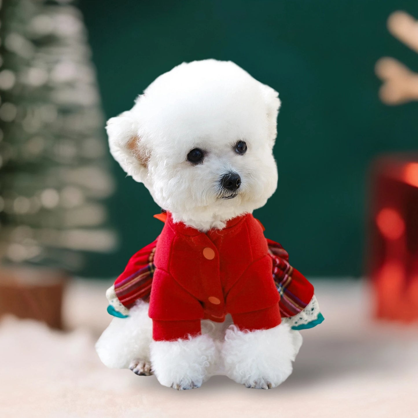 Christmas Dog Costume with Santa Hat and Jingle Bell Collar Festive Pet Holiday Outfit for Small Dogs and Cats