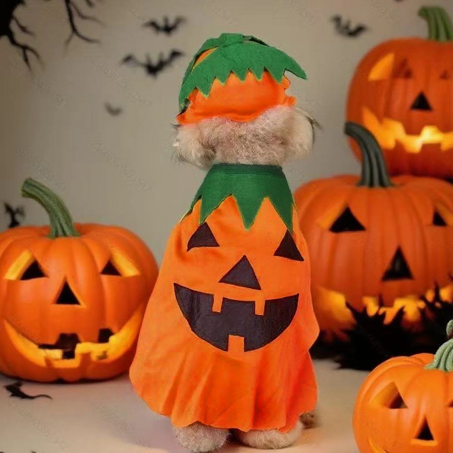 2Pcs Halloween Cat Costumes Kitten Witch Cloak and Hat Set for Small Medium Pets Dress Up Accessories for Holiday Party