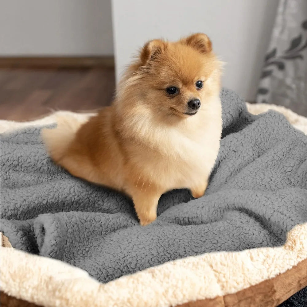 Dog Blanket Soft Dog Blankets for Small Dogs Puppy Essentials Washable Sherpa Fleece Cat Blanket 24x32 Inches for Bed Furniture
