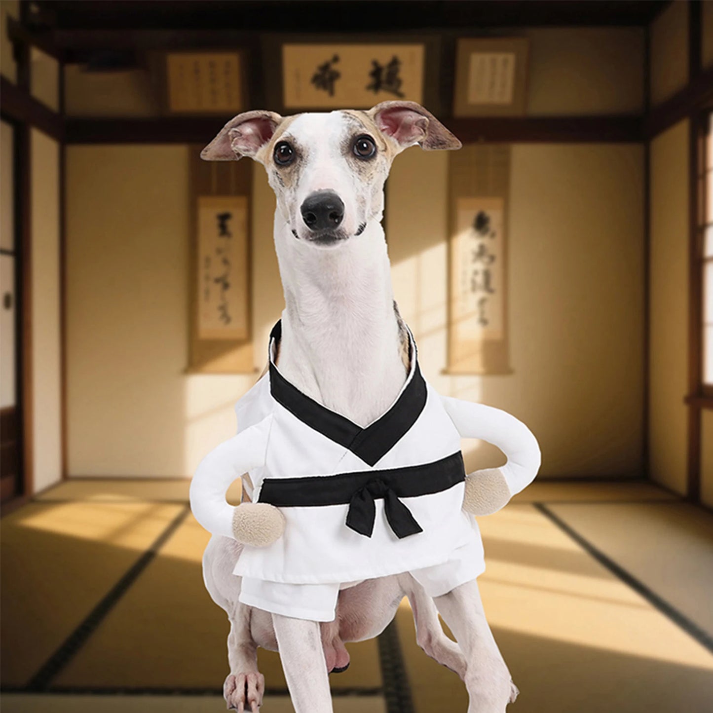 Funny Halloween Costume for Pets Soft and Comfortable Costume for Dogs and Cats Perfect for Indoor and Outdoor Activities