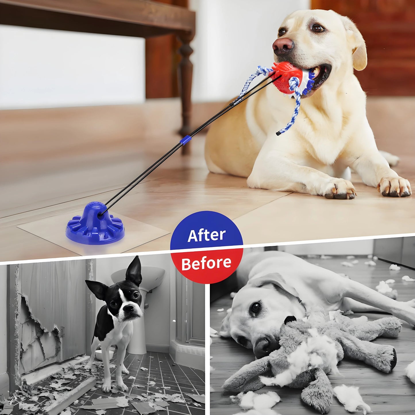 Heavy-Duty Suction Cup Tug Toy for Aggressive Chewers | Near-Indestructible Treat Dispensing Ball