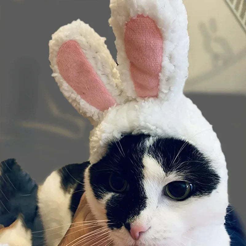 Funny Cat Headgear Cute Rabbit Ears Cap for Cats Warm Plush Pet Hat Christmas Cosplay Props PhotoProp Kitten Headwear Supplies