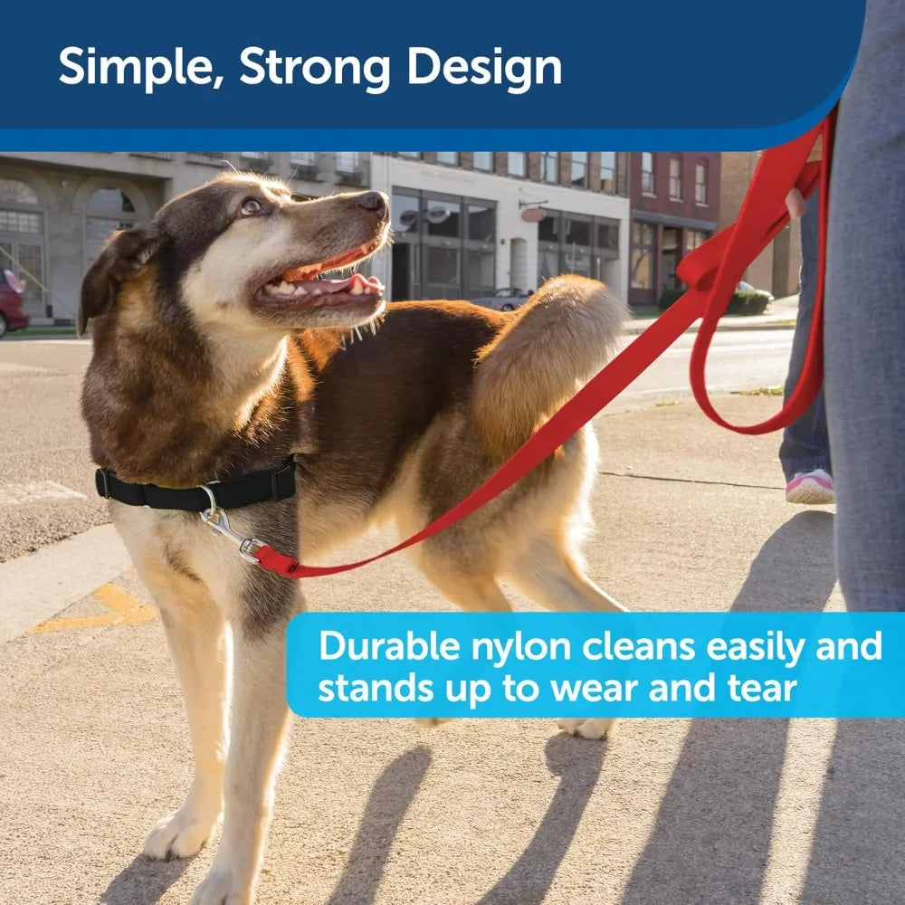 Nylon Dog Leash – Strong, Durable, Traditional Style Leash with Easy to Use Bolt Snap for Small, Medium and Large Dogs – 3/8" x