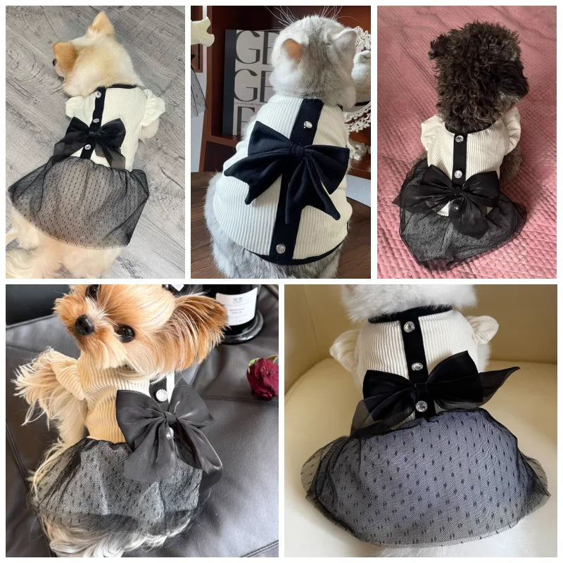 Luxury Dog Dress for Small Dogs Summer Puppy Clothes Bow Lace Dog Skirt Black White Dog T Shirt Girls Dog Costume Chihuahua Vest