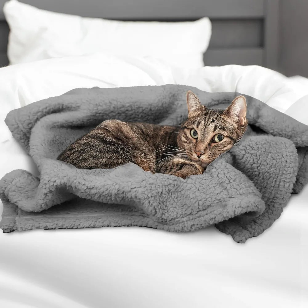 Dog Blanket Soft Dog Blankets for Small Dogs Puppy Essentials Washable Sherpa Fleece Cat Blanket 24x32 Inches for Bed Furniture