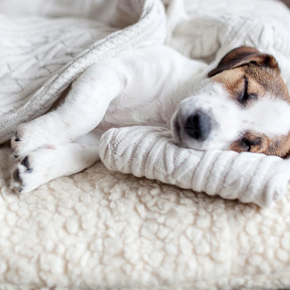 Dog Bed Replacement Cover Washable Non-Slip Slipcover Sherpa Top Micro Suede Durable Pet Duvet Fits 19-21 in Mattresses