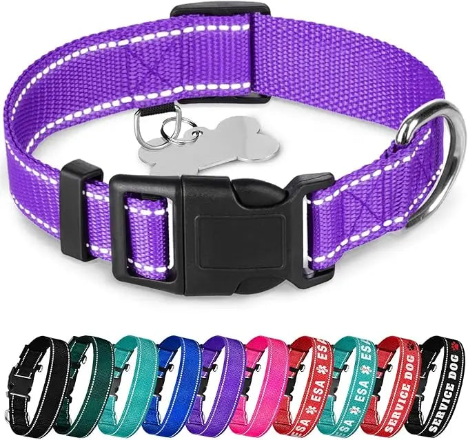 Reflective Dog Collar – Violet – S – Basic Nylon Pet Collar ，Quick Release Buckle ， Fits Small, Medium and Large Dogs, Puppies
