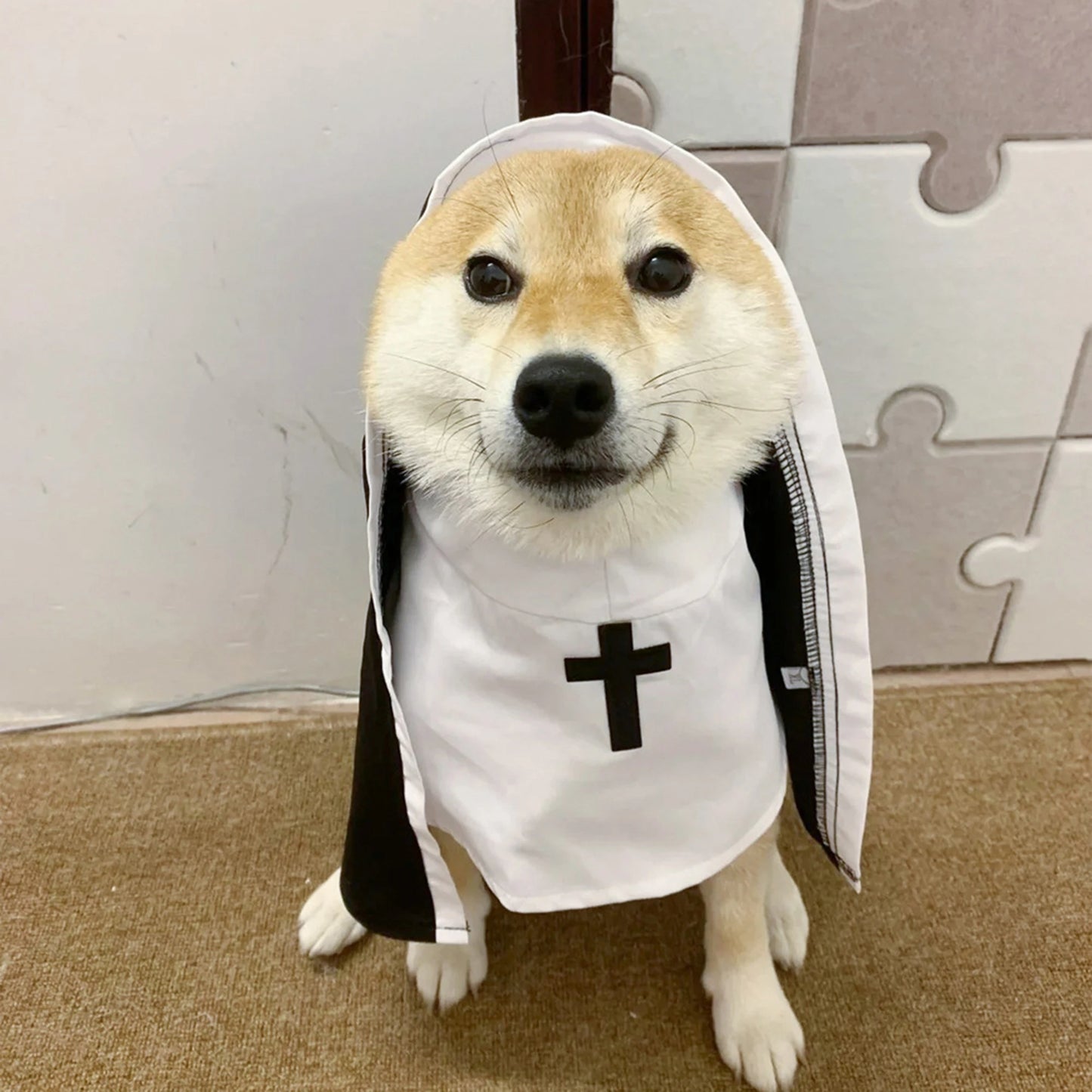 Funny Cat Pirate Costume Set with Hat and Eye Patch Halloween Pet Cosplay Clothes Outfit for Party Decoration Supplies