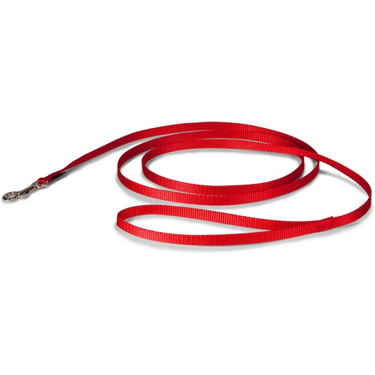 Nylon Dog Leash – Strong, Durable, Traditional Style Leash with Easy to Use Bolt Snap for Small, Medium and Large Dogs – 3/8" x