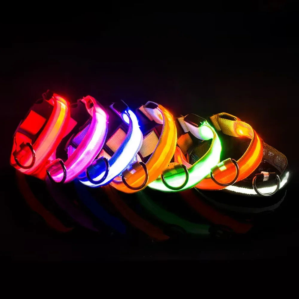 Factory Wholesale Light  Dog Collar Manufacturers  Nylon Led Dog Collar Leash Training collar for a dog Small dog collar Pet id