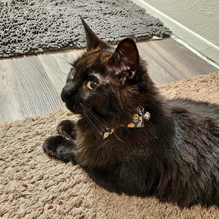 Skull Cat Collar with Bell Adjustable Breakaway Cat Bowtie Collor 7.810.2 Cute Elastic Strap for Kittens Cats and Small Puppies