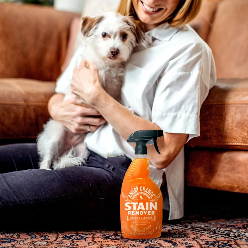 Enzyme Pet Stain Odor Remover Multi-Surface Cleaner Pet Urine Feces Vomit Freshness Bacteria Active Carpet Hardwood Fabric Tile