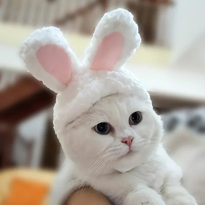 Funny Cat Headgear Cute Rabbit Ears Cap for Cats Warm Plush Pet Hat Christmas Cosplay Props PhotoProp Kitten Headwear Supplies