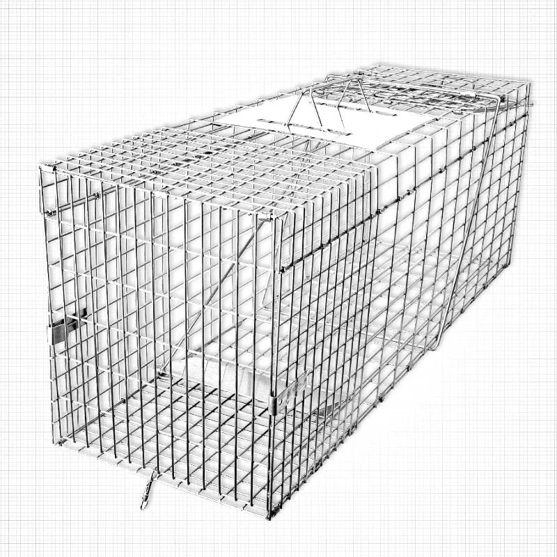 32" Live Animal Cage Trap, Heavy Duty Folding Raccoon Traps, Humane Cat Trap for Stray Cats, Raccoons, Squirrel, Skunk, M