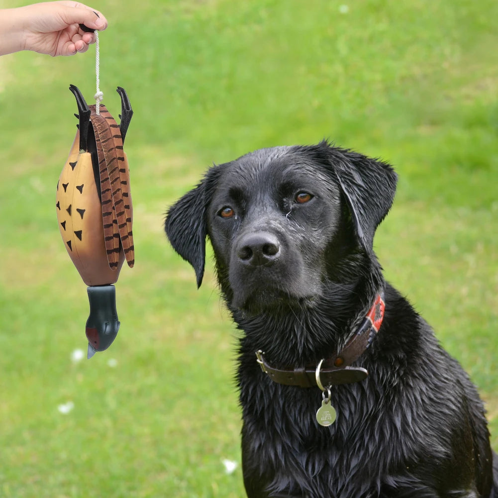 Mulipurpose Pet Dead Fowl Fetch Toy For Training Dogs Outdoor Indoor Imitate Dead Fowl Essential Training Toys For Trainers