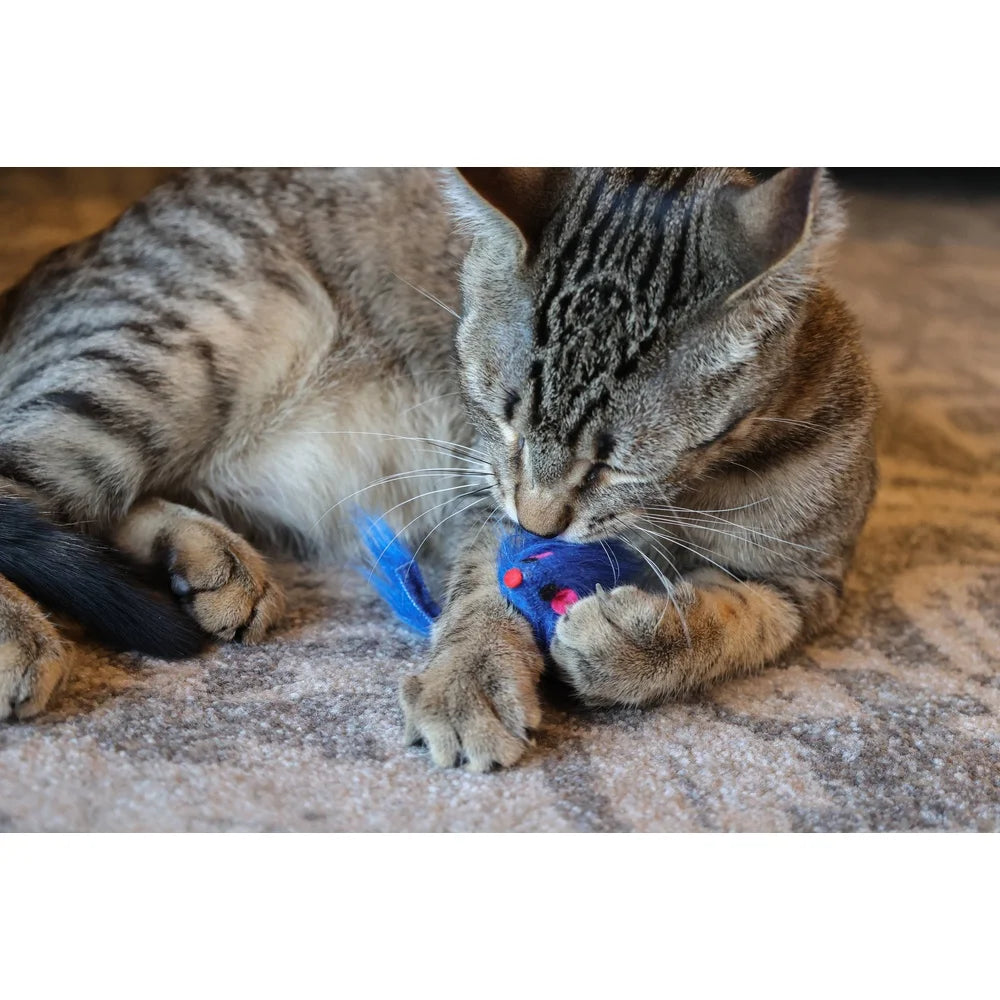 24 Piece Assorted Cat Toys Set Fun Interactive Play Variety Indoor Cats Engaging Chasing Pouncing Exercise Portable Activity