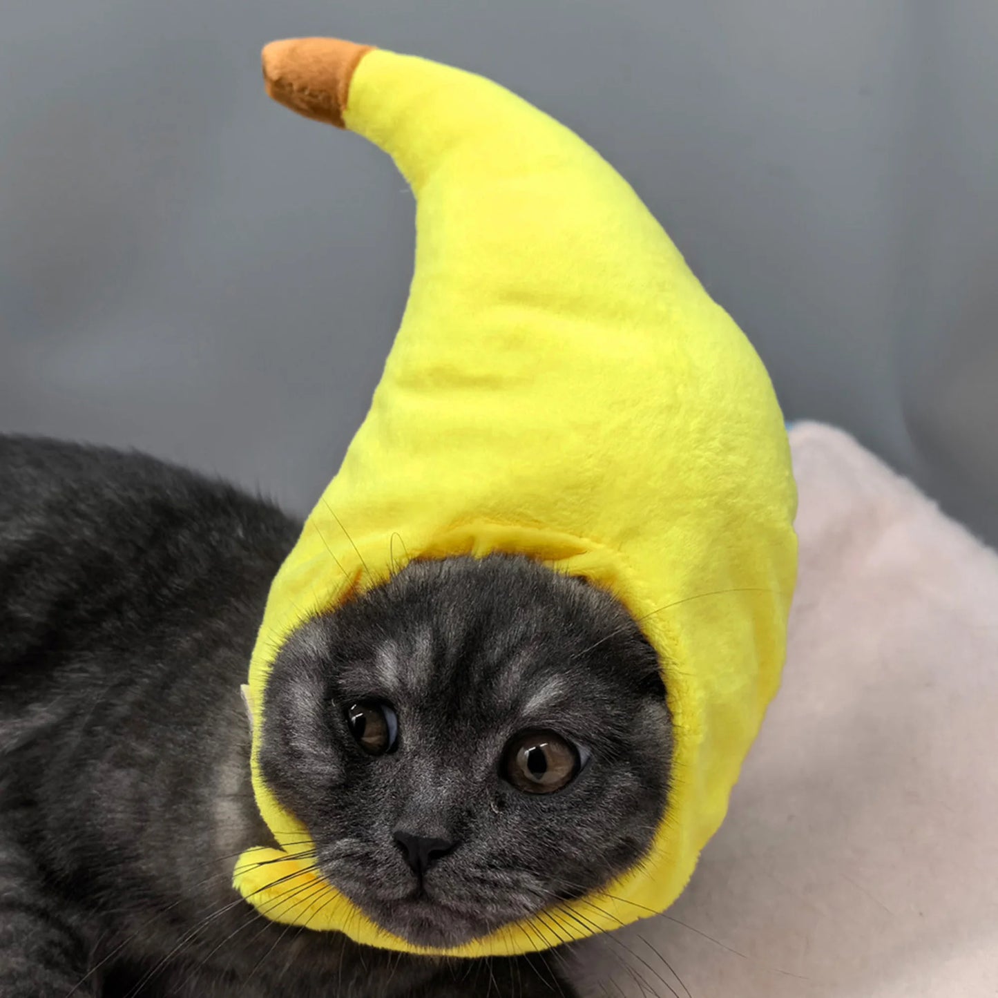 Cute Pet Costume Headwear with Soft Plush Cat Banana Eggplant Hats and Hook and Loop Closure for Adorable Look