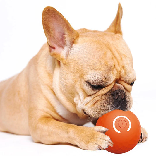 Interactive Dog Ball USB Rechargeable Smart Electric Ball Toy Automatic Rolling Ball Toys for Puppy/Small/Medium Dogs