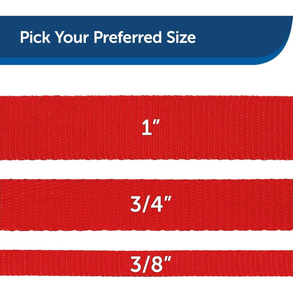 Nylon Dog Leash – Strong, Durable, Traditional Style Leash with Easy to Use Bolt Snap for Small, Medium and Large Dogs – 3/8" x