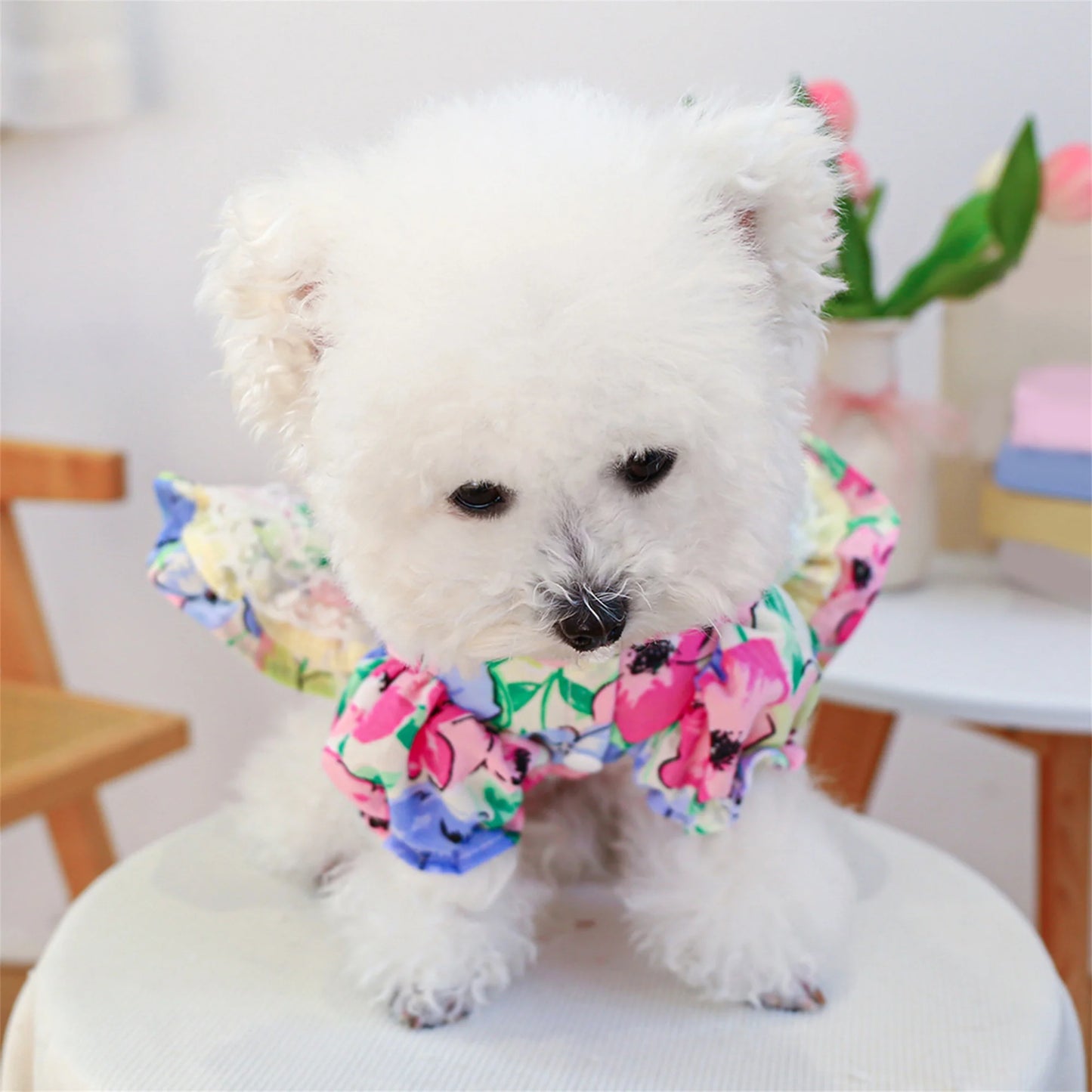 Elegant Floral Lace Embroidered Pet Dress with Bubble Sleeves and Bow Detail - Stylish Princess Dog Costume