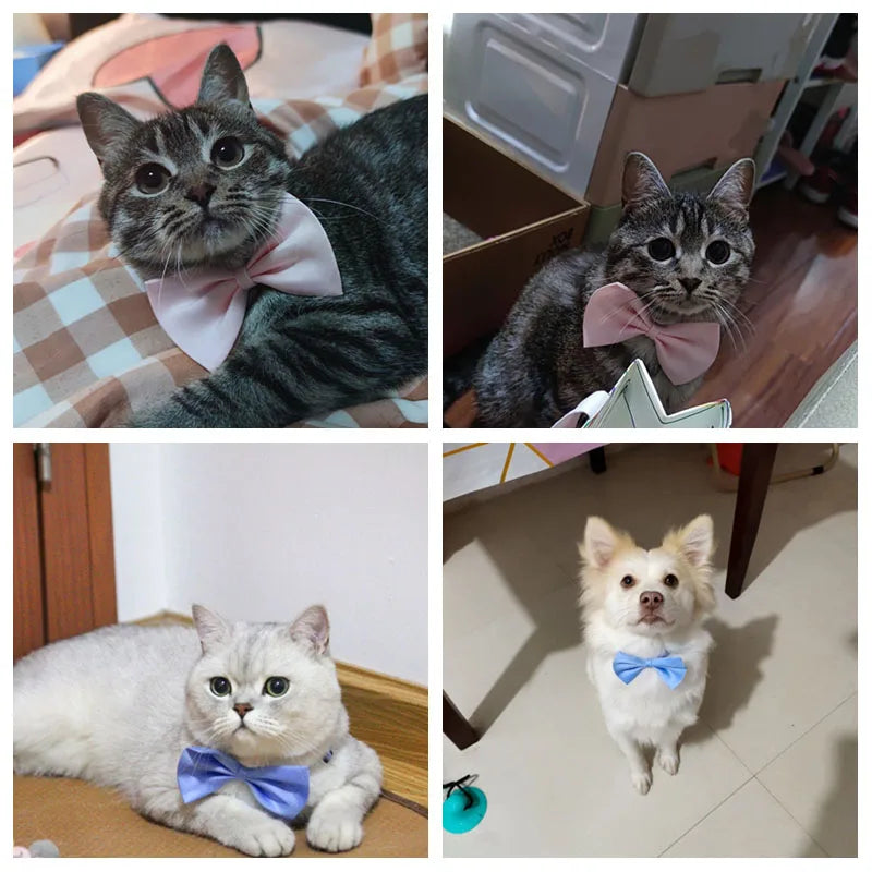50pcs Mix Color Bow Ties Bowknot for Dogs Cat Grooming Accessories Small Animal Children Adjustable Bowtie Pet Product Wholesale