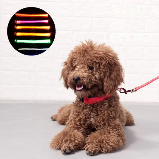 Factory Wholesale Light  Dog Collar Manufacturers  Nylon Led Dog Collar Leash Training collar for a dog Small dog collar Pet id
