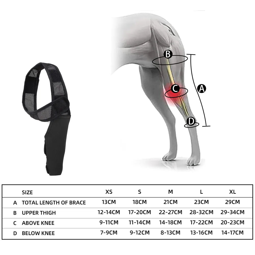 Dog Knee Brace Injury Recovery Fixed Support Brace Pet Leg Pain Relief Joint Wrap Brace For Elderly Disabled Injured Dogs