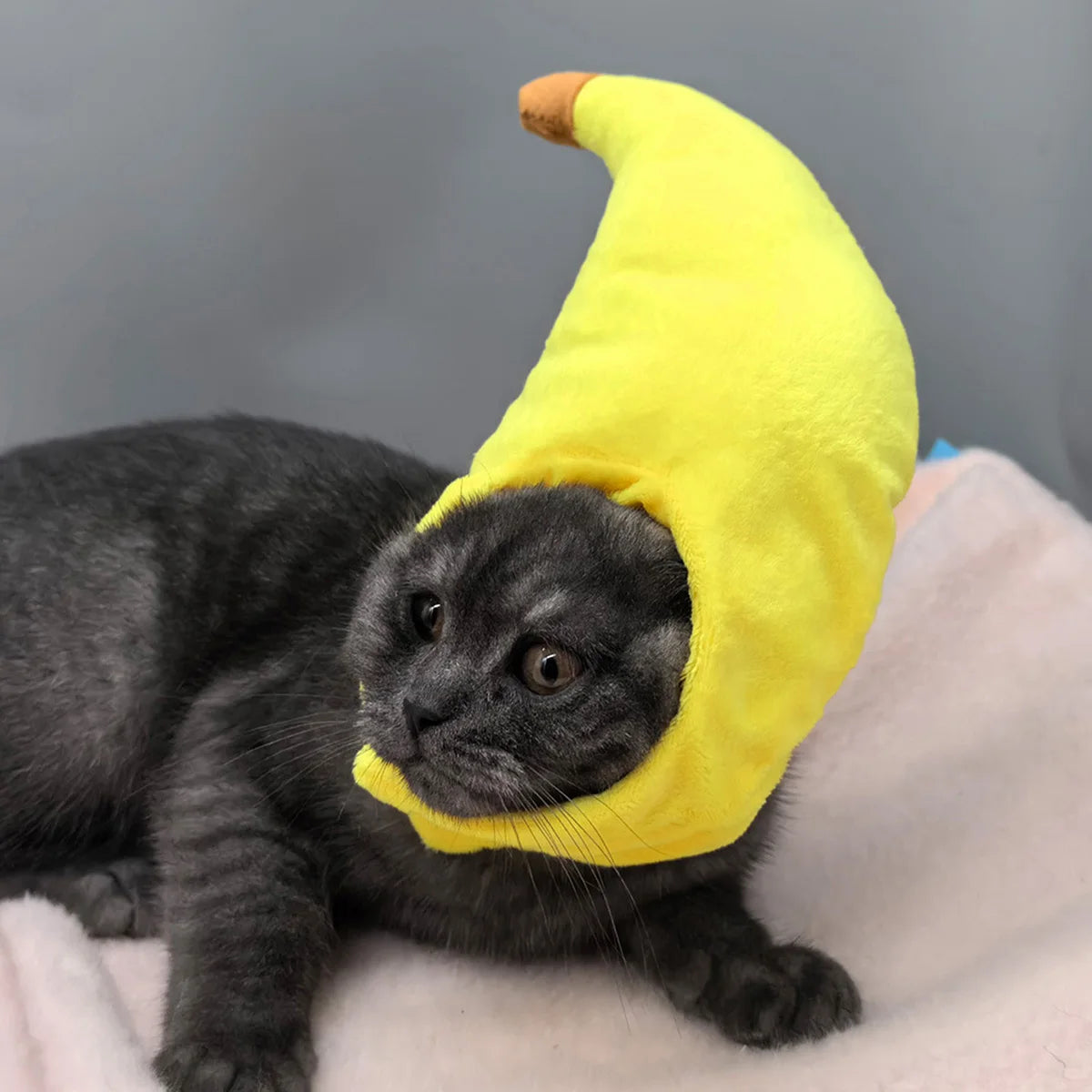 Cute Pet Costume Headwear with Soft Plush Cat Banana Eggplant Hats and Hook and Loop Closure for Adorable Look